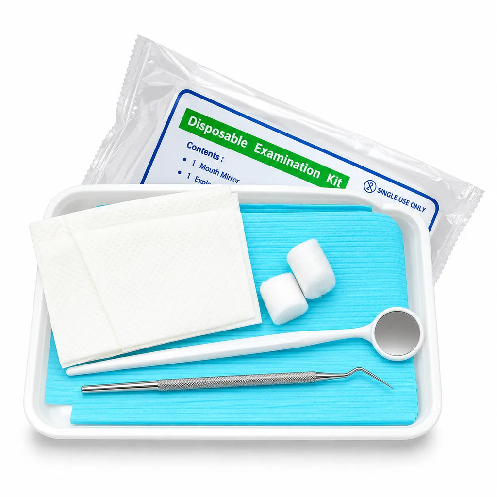 Disposable Dental Examination Kit – 10 Sets