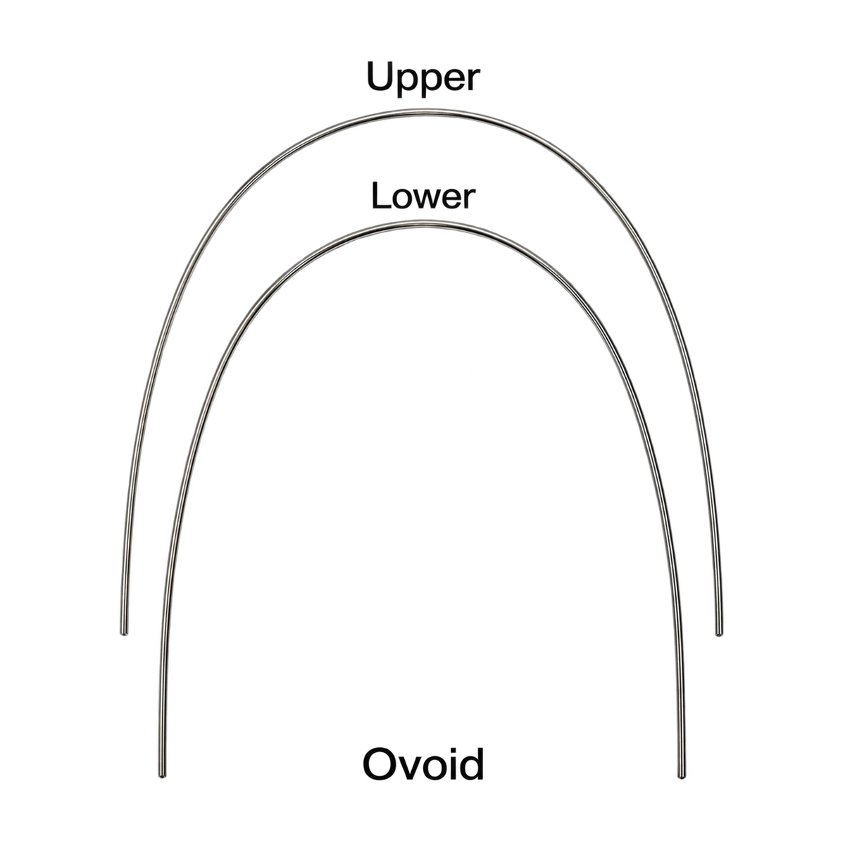 Orthodontic NiTi Arch Wires – Upper & Lower (Multiple Sizes)