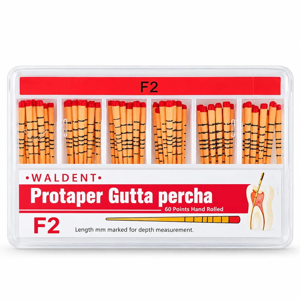 Protaper Gutta Percha Points – Endodontic Root Canal Filling Points