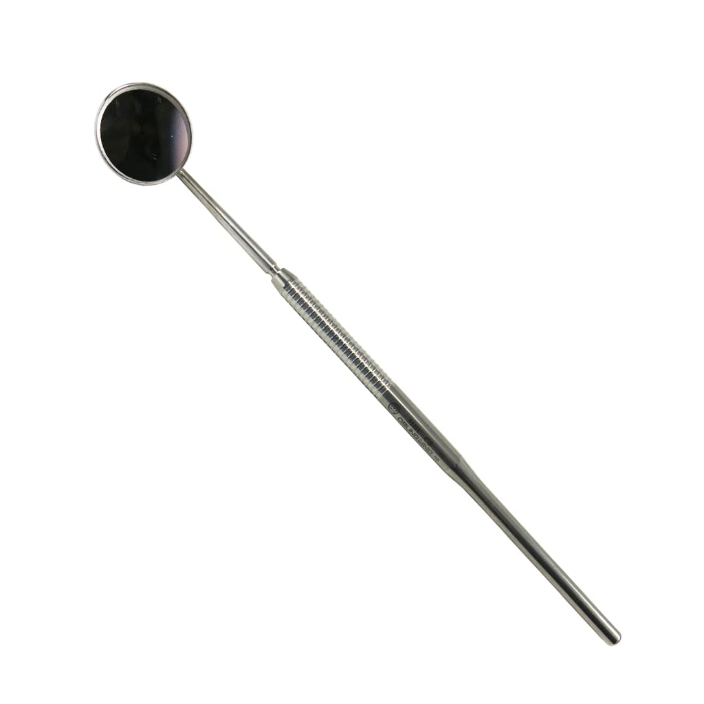 Mirror with handle
