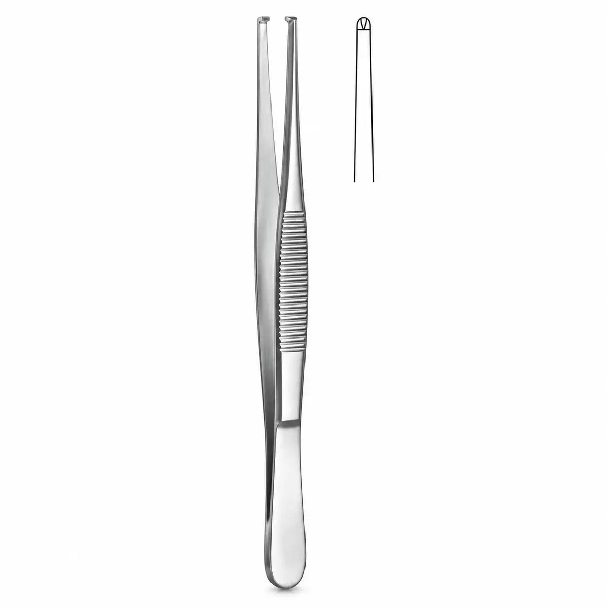 Dental Tissue Forceps – Serrated Stainless Steel | 16cm