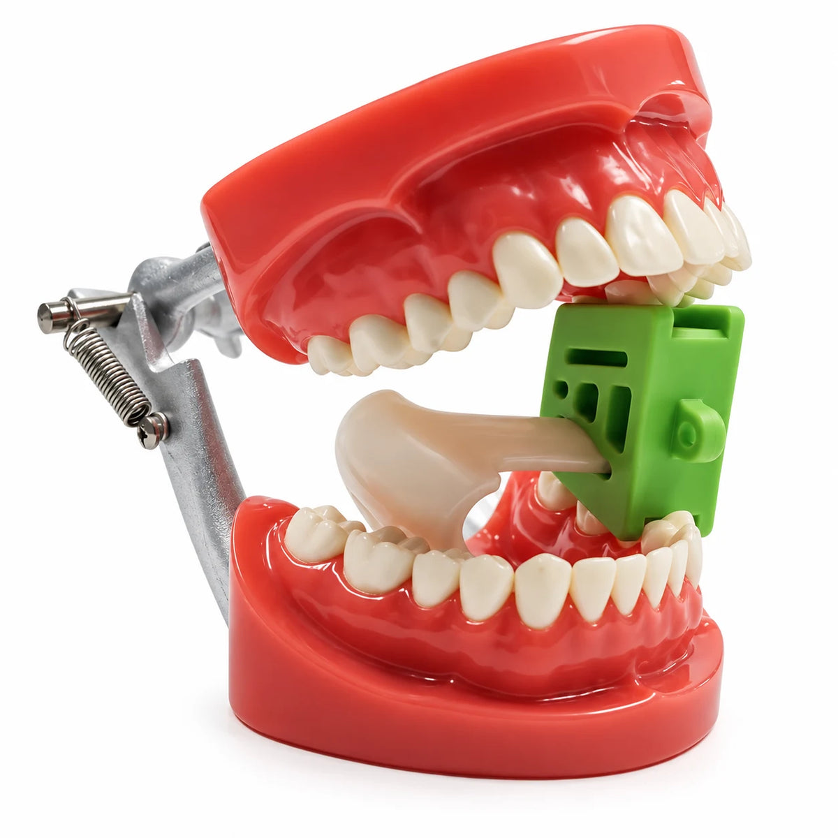 Dental Mouth Prop with Cheek Guards – Adult Size | Green