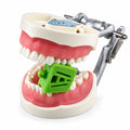 Dental Mouth Prop with Cheek Guards – Adult Size | Green