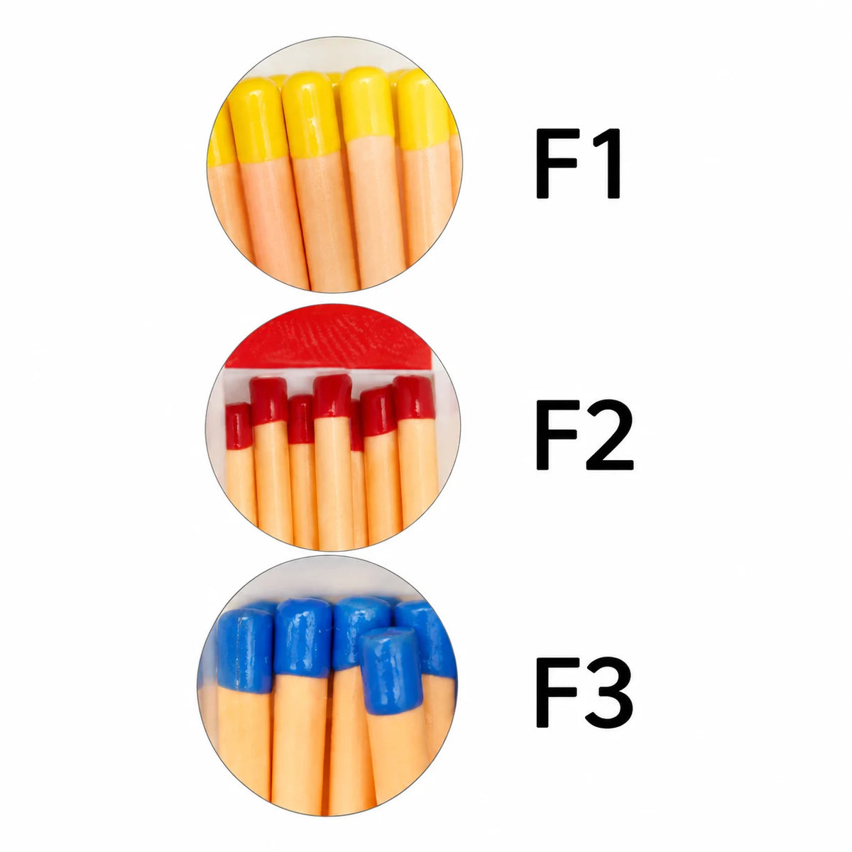 Protaper Gutta Percha Points – Endodontic Root Canal Filling Points