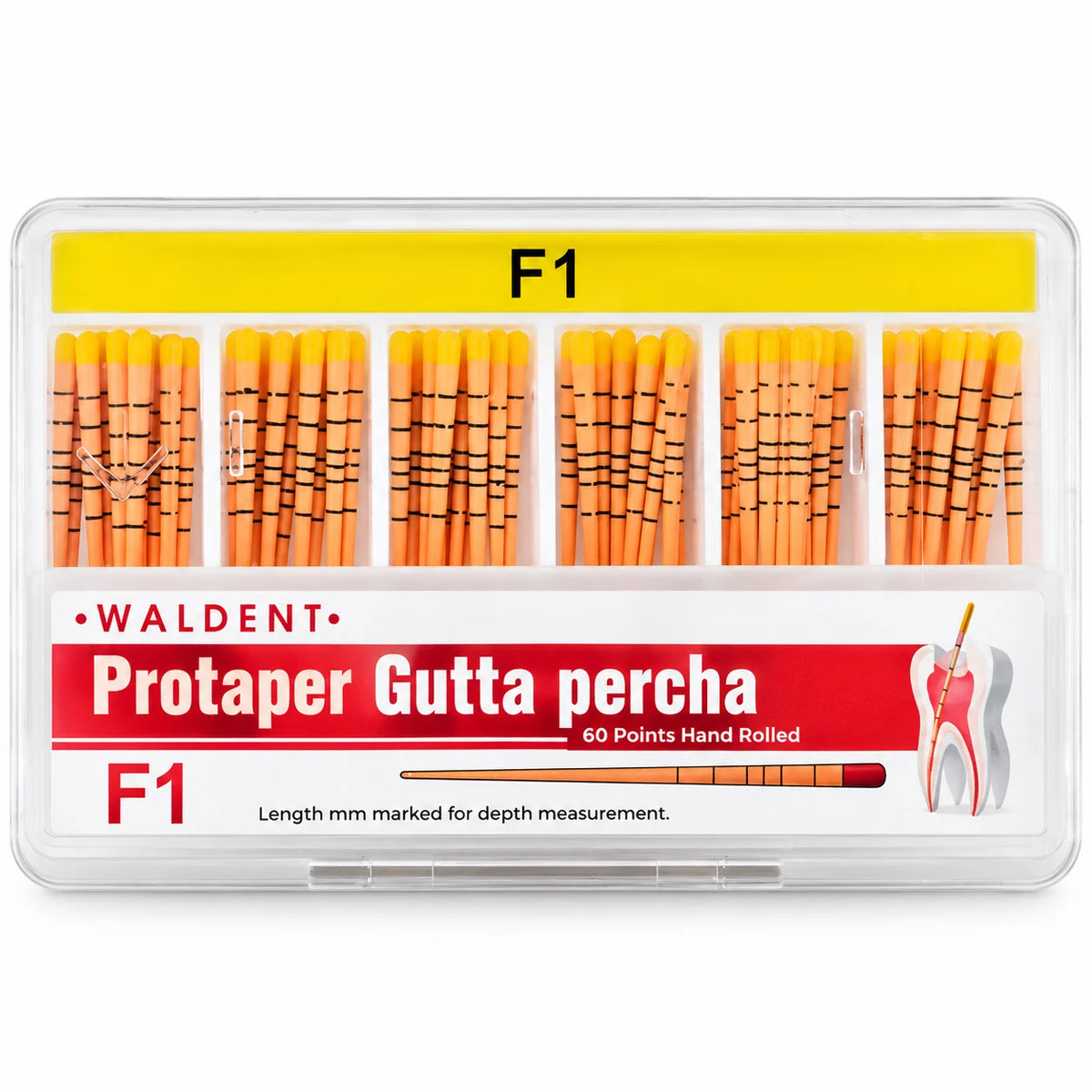 Protaper Gutta Percha Points – Endodontic Root Canal Filling Points